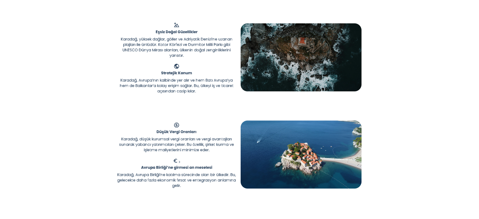 Project Preview
